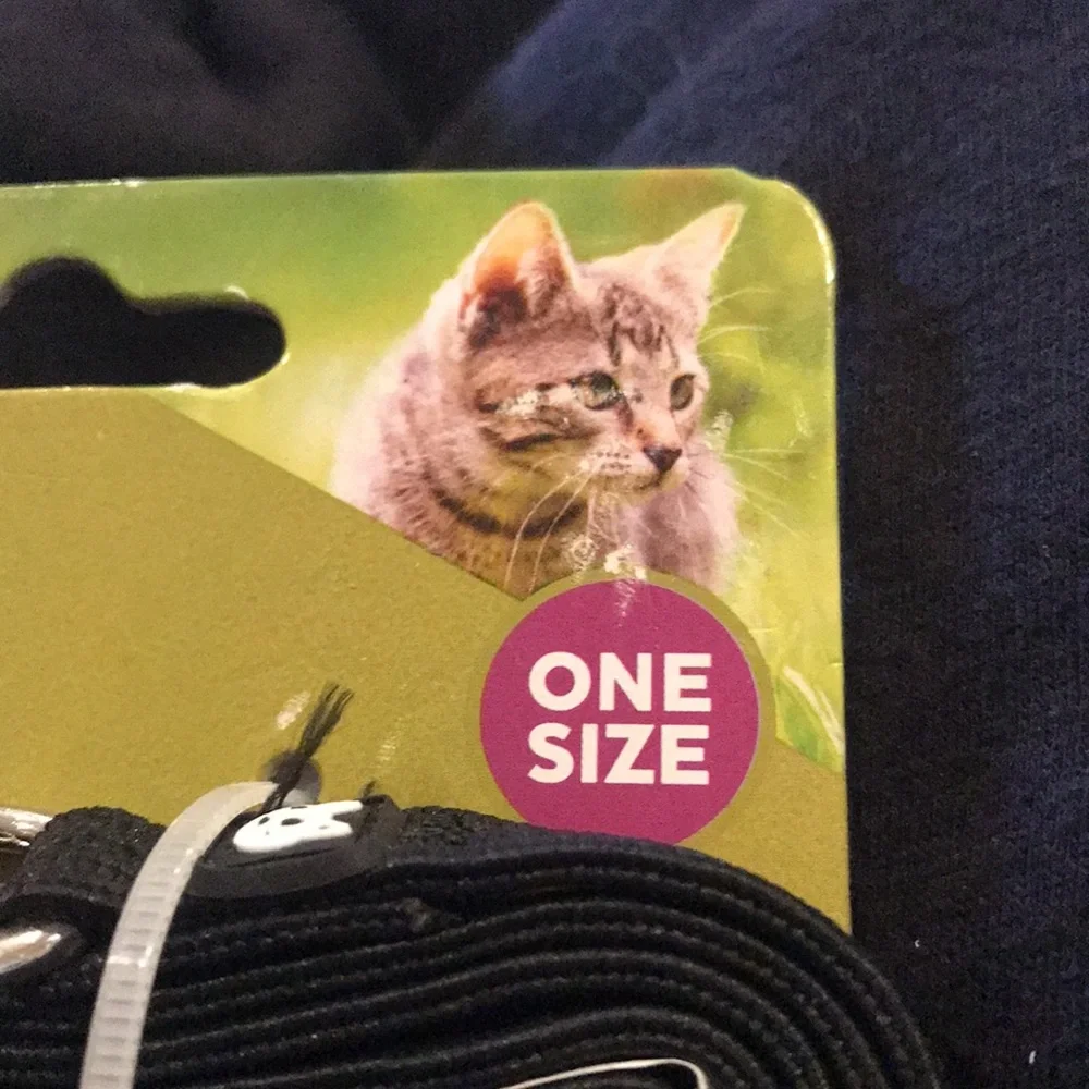 Vibrant life black and white harness and leash for cats. NWT
